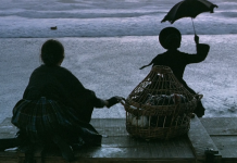 The Prestige, incununarea iluziei