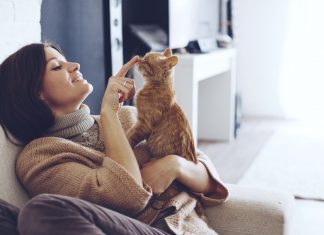 Jocul e important pentru starea de spirit a pisicii