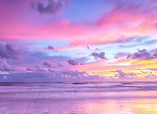 Rozul care schimba vieti