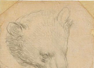 Micuta schita de urs al lui Leonardo da Vinci ar putea aduce peste 16 milioane de dolari