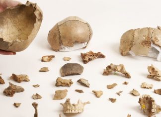 Canibalismul a fost un ritual funerar comun in Europa acum 15.000 de ani