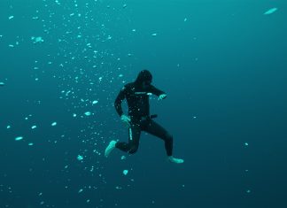 Cele mai bune documentare Netflix