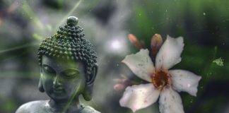 Cele mai frecvente 5 greseli din viata de zi cu zi in practicarea budismului