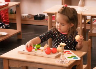 Puterea invatarii multisenzoriale in educatia matematica